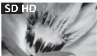 SONY Bravia KDL32R415B - Calidad de la imagen - 1