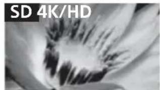 SONY Bravia KD79X9000B - 图像质量 - 1