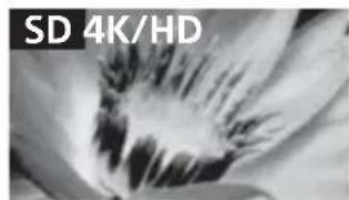 SONY Bravia KD79X9000B - Qualité d'image - 1