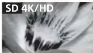 SONY Bravia KD79X9000B - KaueCTBO n3o6paxeHnA - 1