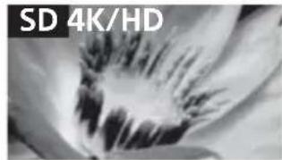 SONY Bravia KD79X9000B - Chat luong hinh anh - 1