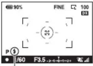 SONY Alpha DSLRA350H - Une fois que le flash est complètement charge, photographiez le sujet. - 1
