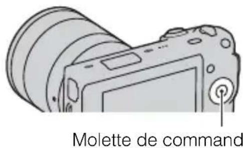 SONY Alpha NEX5D - Floutage facile de l'arrière-plan (Contrôle du floutage d'arrière-plan) - 2