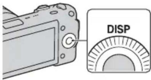 SONY Alpha NEX5D - Changement de l'affichage (DISP) - 1