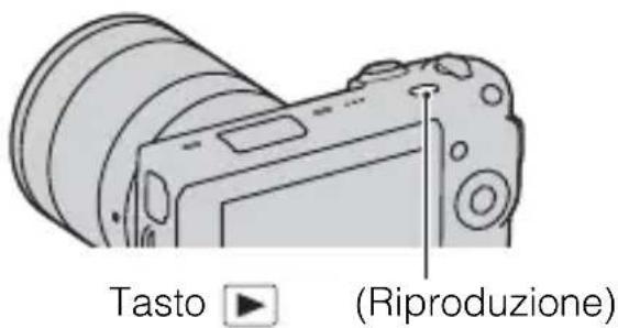 SONY Alpha NEX5D - Ingrandimento dell'immagine in riproduzione (Ingrandisci) - 1