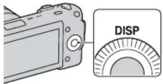 SONY Alpha NEX5D - Modifica delle indicazioni visualizzate sullo schermo (DISP) - 1