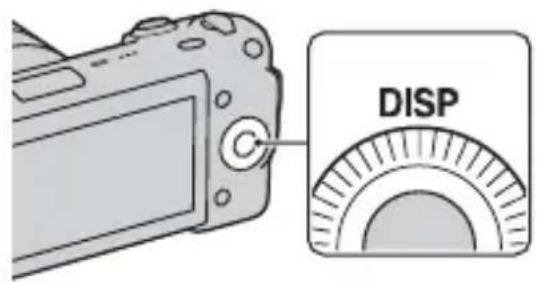 SONY Alpha NEX5H - Changement de l'affichage (DISP) - 1