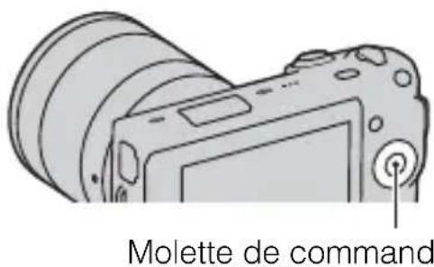 SONY Alpha NEX5H - Floutage facile de l'arrière-plan (Contrôle du floutage d'arrière-plan) - 2