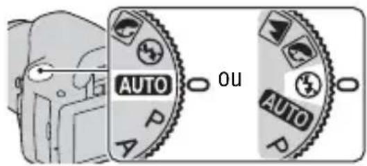 SONY Alpha DSLRA380H - Auto/prise de vue avec le réglage automatique - 1
