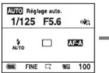 SONY Alpha DSLRA380H - Sélection de l'affichage d'informations d'enregistrement (DISP) - 3