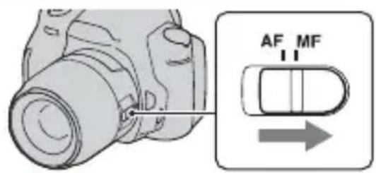 SONY Alpha DSLRA380H - Regolazione manuale della messa a fuoco (messa a fuococomuiale) - 1