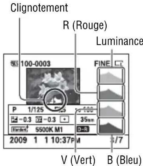 SONY Alpha DSLRA380H - À propos des segments clignotants sur l'affichage d'histogramme - 1