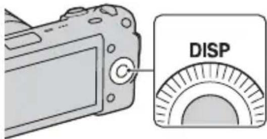 SONY Alpha NEX5K - Changement de l'affichage (DISP) - 1