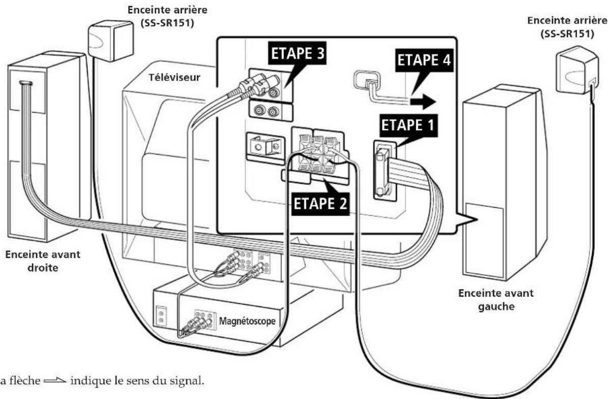 SONY SAVA10 - Raccordement des enceintes - 1