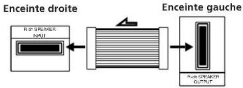 SONY SAVA10 - Raccordement des enceintes - 2