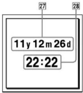 SONY ICDUX522F - Affichage de la date et de l'heure actuelles - 1