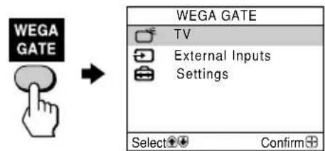 SONY Trinitron KVDZ29M81 - How to use WEGA GATE - 1