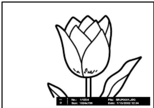 SONY KE42MR1E - Displaying a still image on the full screen - 2