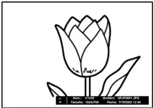 SONY KE42MR1E - Visualización de una imagen fija en pantalla completa - 2