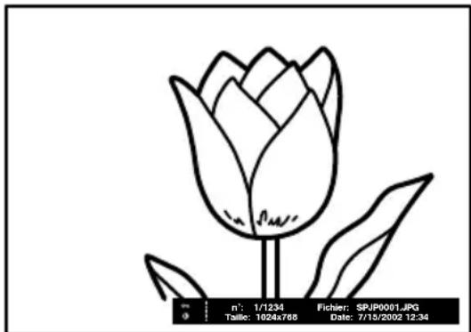 SONY KE42MR1E - Visualisation d'une image fixe sur plein écran - 2