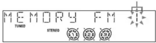 SONY MHCRG551S - Pulse TUNER MEMORY. - 1