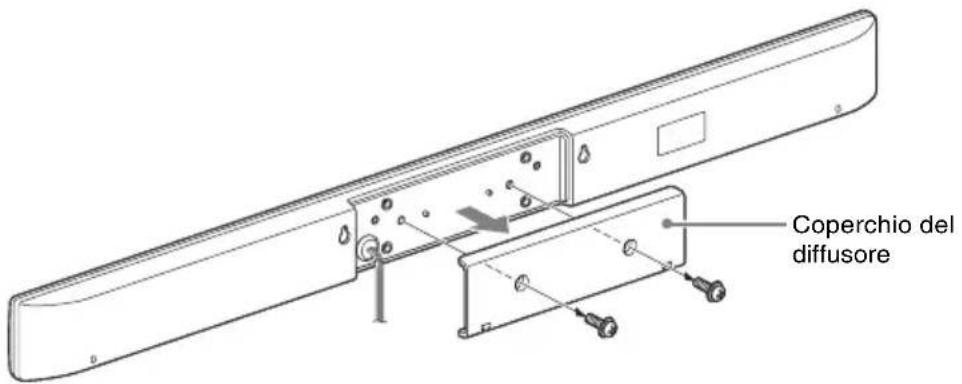 SONY WSCT550B46 - Operazioni preliminari da eseguire sul diffusore - 1