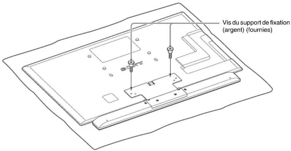 SONY WSCT550B46 - Installation de l'enceinte sur le socle - 3