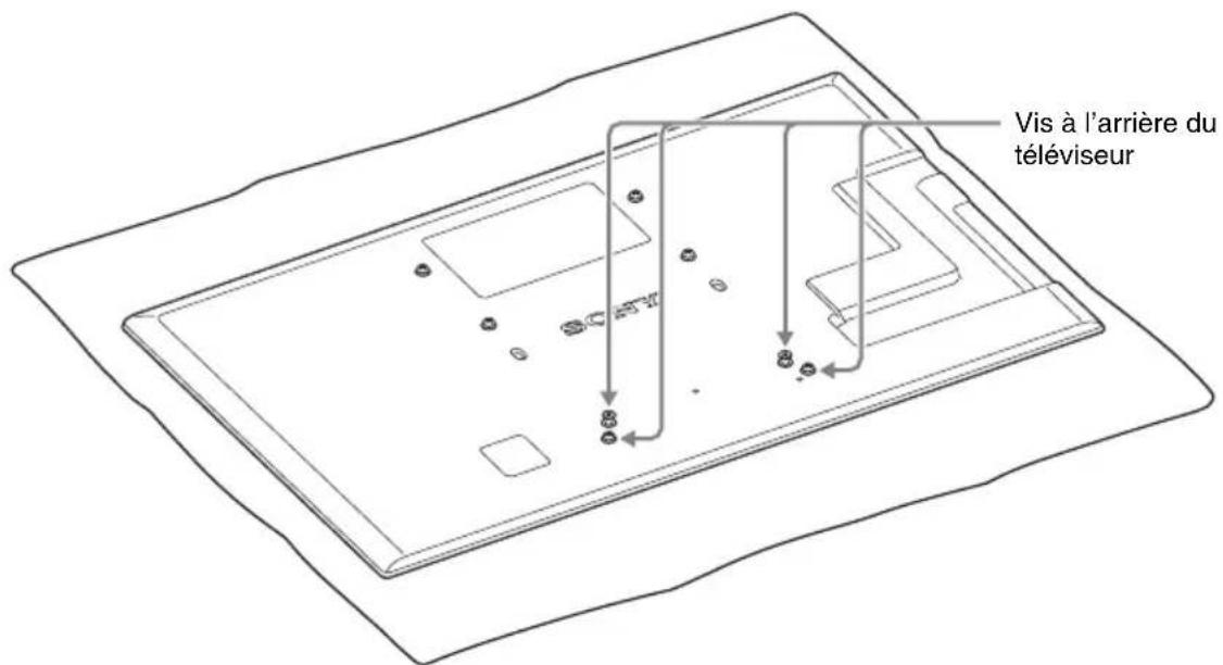 SONY WSCT550B46 - Installation de l'enceinte sur le socle - 2