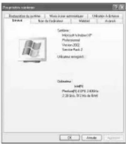 SONY MSACEX1 - Affichez l'écran « propriétés système - 1