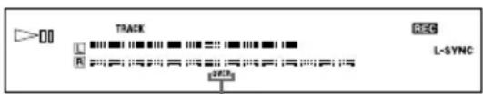SONY DHCNX5MD - Ajuste del nivel de grabación (continuación) - 1