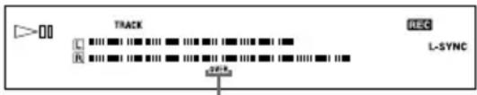 SONY DHCNX5MD - Réglage du niveau d'enregistrement (suite) - 1