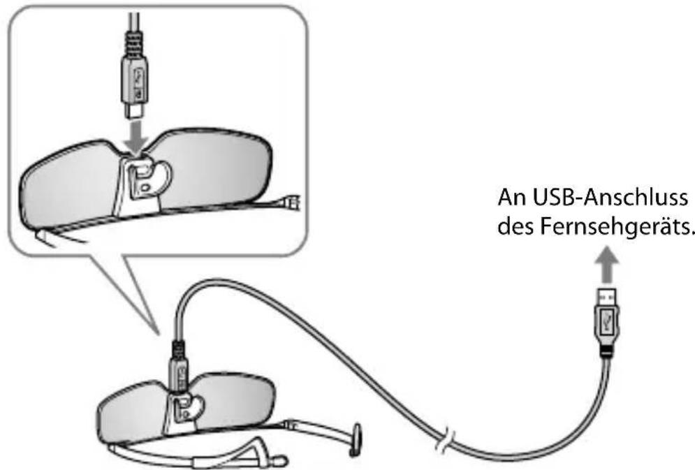 SONY TDGBR750 - Hinweis - 1