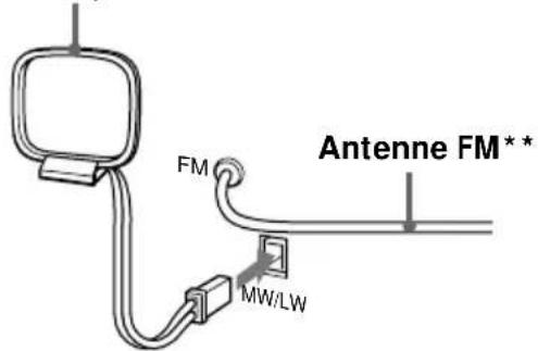 SONY PMC107L - Raccordement des antennes - 1