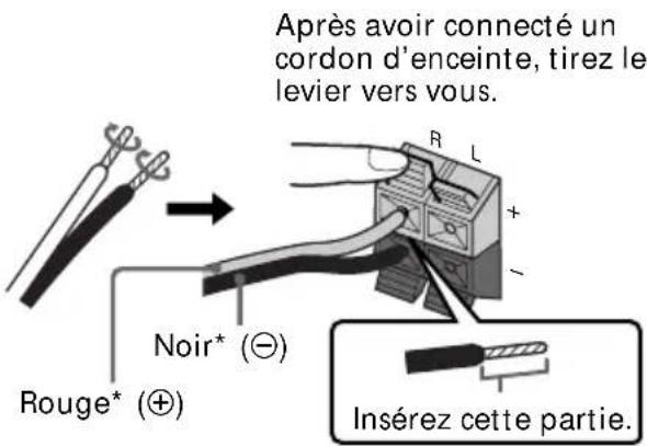 SONY HSTSE581 - Étape 1 : Installation de la chaine - 2
