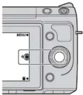 SONY Alpha NEXF3Y - Lecture agrandie - 1