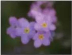SONY Alpha NEXF3Y - Effet de photo - 8