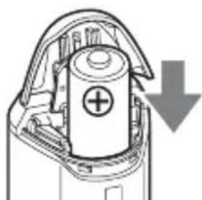 SONY GPSCS1KA - Insert a battery into the unit with the + side of the battery facing up. - 1