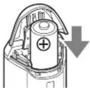 SONY GPSCS1KASP - Insert a battery into the unit with the + side of the battery facing up. - 1