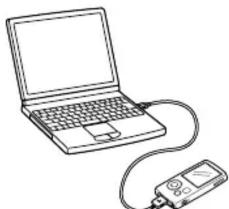 SONY CKMNWA800 - Remarques - 4