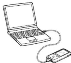 SONY CKMNWS610 - Remarques - 7