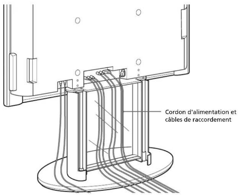 SONY SUPF2 - Conseil - 1