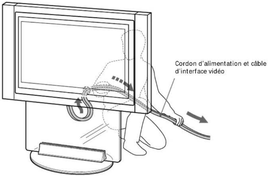 Cordon d'alimentation et câble d'interface vidéo