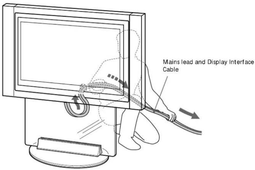 Mains lead and Display Interface Cable