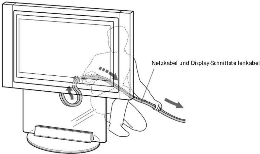 Netzkabel und Display-Schnittstellenkabel