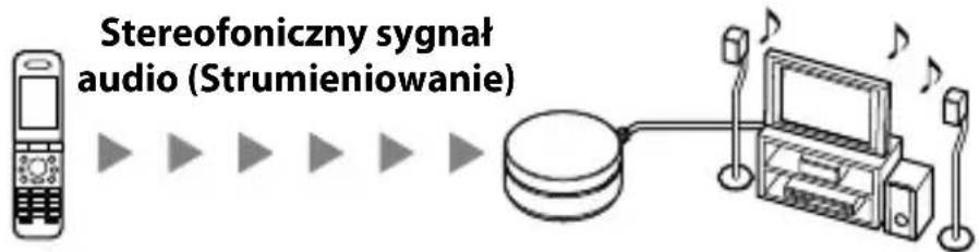 SONY TDMBT10 - Słuchanie muzyki - 1