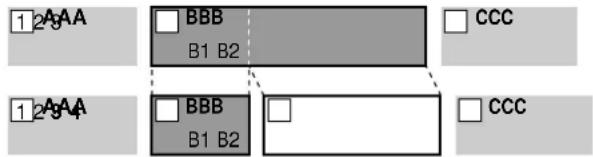1 2AAA BBB B1 B2 CCC 1 2AAA BBB B1 B2 CCC