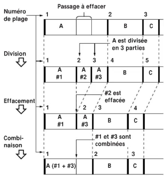 SONY MXDD1 - Effacement d'un passage d'une plage - 1