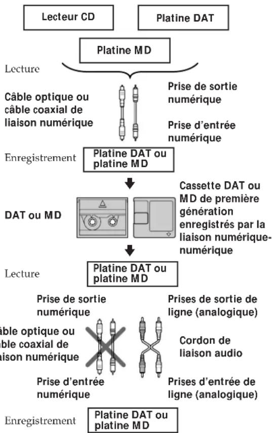 SONY MXDD1 - Première règle - 1