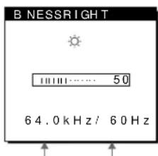 SONY SDMN80 - Touch the (brightness) key. - 1