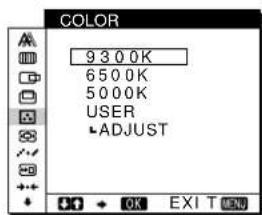 SONY SDMN80 - Navigating the menu - 2